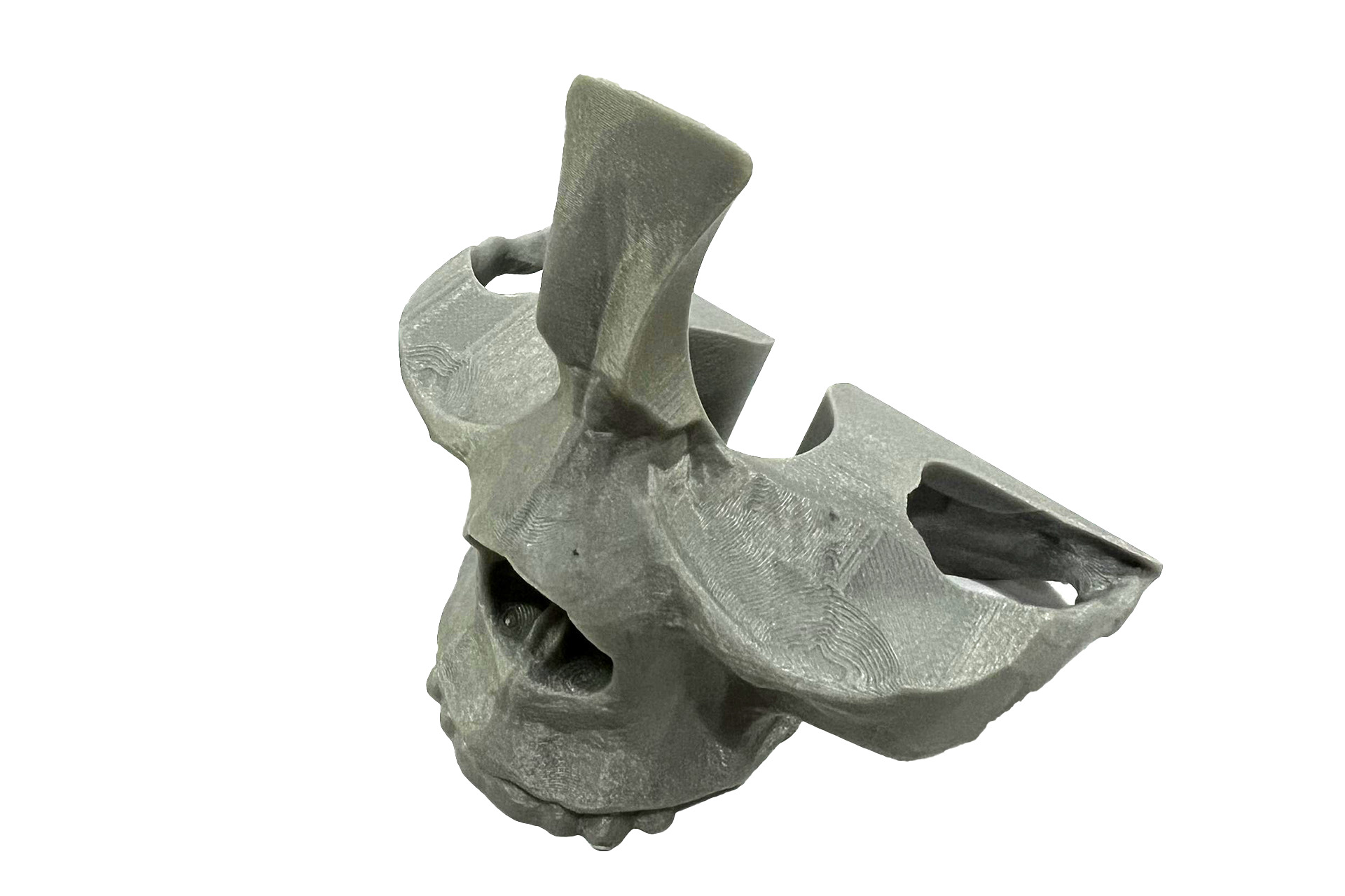 Skeleton Models